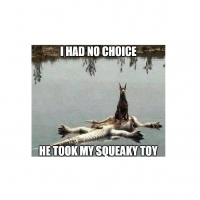 I Had No Choice