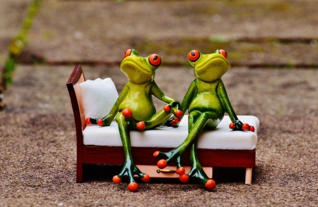 :) - bed, figurine, couple, frog, broasca, green