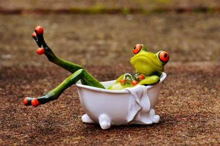 :) - white, figurine, bath, broasca, frog, green, funny