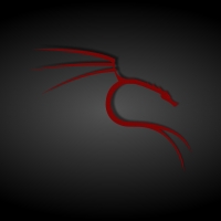 Black and Red Kali Linux