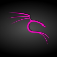 Black and Pink Kali Linux