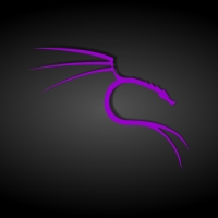 Black and Purple Kali Linux