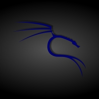 Black and Blue Kali Linux