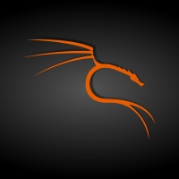 Black and Orange Kali Linux