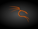 Black and Orange Kali Linux