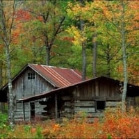 Ouachita National Forest Cabins