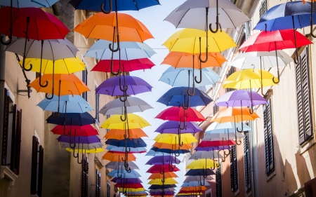 Colorful Umbrellas - street, colorful, umbrellas, photo