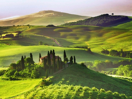 Tuscan Vineyards - villa, trees, hills, cypresses, italy