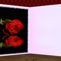 Single Red Rose Reflection Blank Card