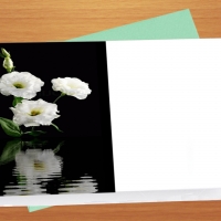 White Flowers on Open Card #2