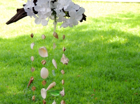 Wind Chime - Grass, Summer, Sae Shells, Wind Chime, Photography, Sea Shells, Abstract