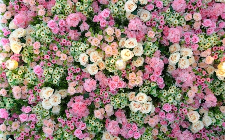 Flowers - green, pink, skin, summer, texture, vara, white