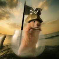 Pirate Hamster - Jack Sparrow