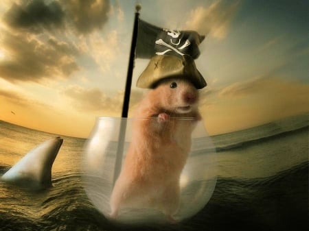 Pirate Hamster - Jack Sparrow - clouds, animal, funny, sea, shark, flag, sky, glass