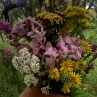 Beautiful wild forest flowers bouquet