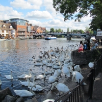 River Bridge at Windsor