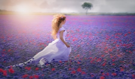 Walking thru a field - pretty, female, people, models, flowers, sunset, purple, filed, dreamy