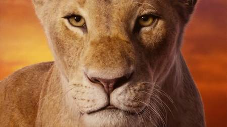 The Lion King 2019 - leu, fantasy, movie, face, poster, disney, nala, lion