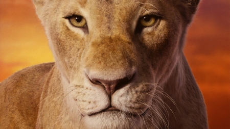 The Lion King 2019 - nala, fantasy, poster, leu, movie, lion, face, disney