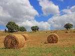 Fields in Tuscany, Italy