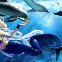 Mermaid And Dolphins