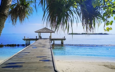 Pier - beach, gazebo, ocean, pier, palm