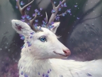 Gentle deer