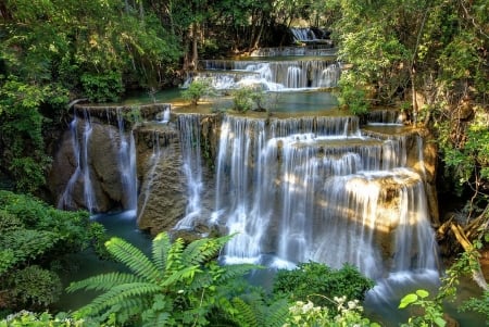 Tropical Waterfall - plants, river, cascades, trees