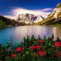 Landscape with mountain, lake and flowers