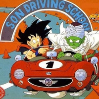 Driving Lessons