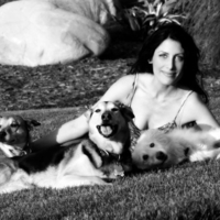 Lisa Edelstein 