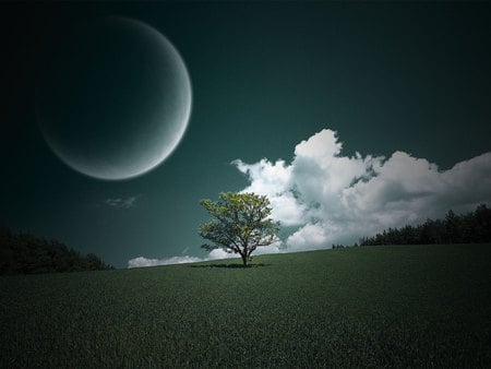 Moon and clouds - night, tree, peacful