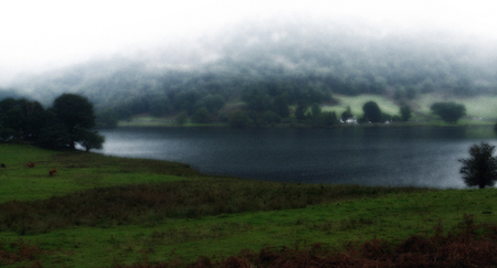 Rydal Water - nature, england, scenic, tranquil, water, scenery