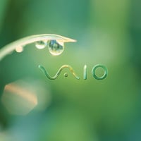 vaio