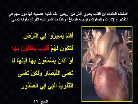 quran - islam, education, medecine, science, quran