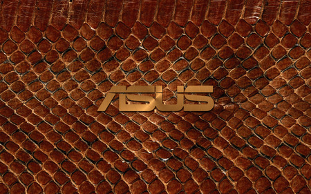 ASUS - snake skin, asus