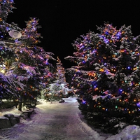 Whistler village