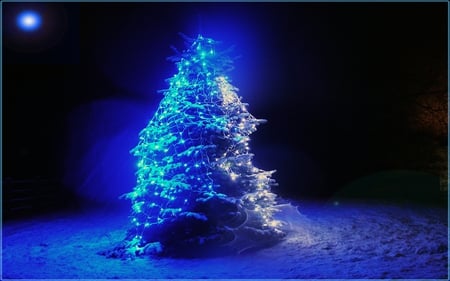 BLUE CHRISTMAS - christmas, blue