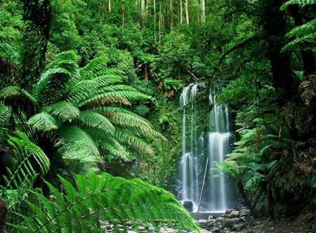 forest waterfall - forest, waterfall, tree