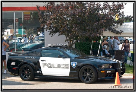 extreme police - seguryti, car