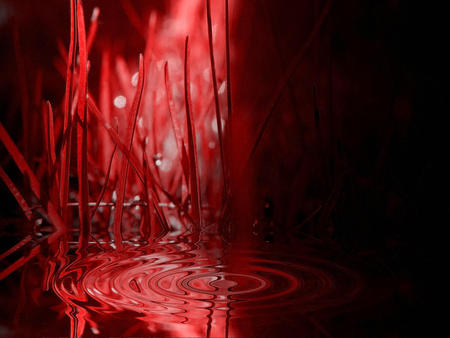 deadly red - love, women, heart, romence, cartoon, water, funny, road, hearts, colour, red, 3d, fentasy, animal, cute