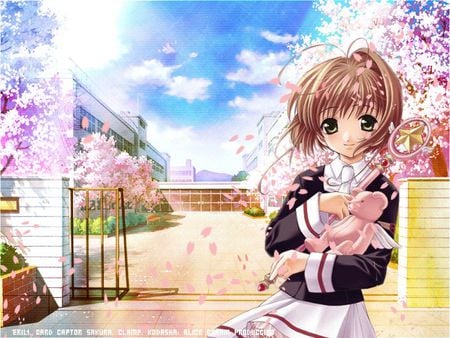 Sakura - anime, anime girl, female, girl, cute, card captor sakura