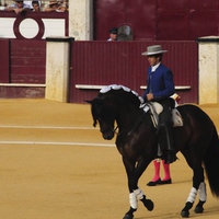 Pablo Hermoso de Mendoza mounted on his Spanish stallion