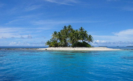 island - island, water, tree