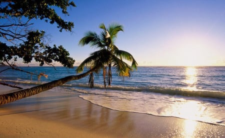 Beach - waves, palms, beach