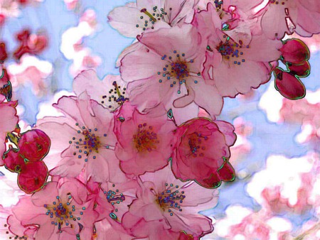 Flowers - pink, beautiful, flowers, floral, art