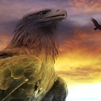 The Great Eagle Command