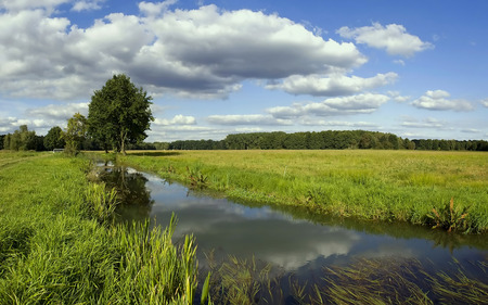 Beautiful landscape - fields, landscape