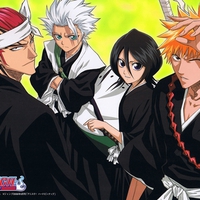 Bleach