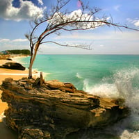 bimini bay resort beach